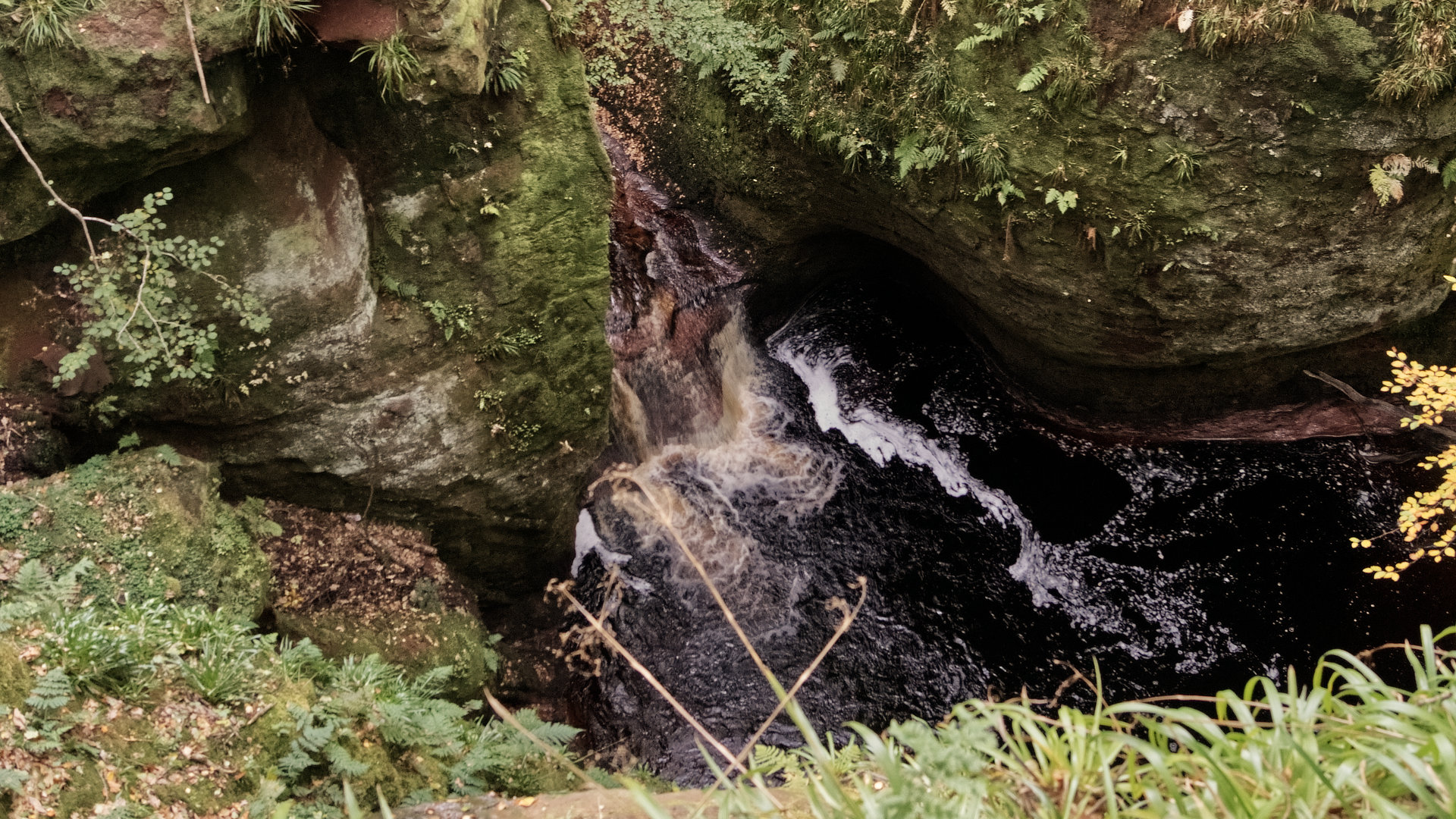 🌊 Szumiąca Woda z Tajemniczego Wąwozu w Szkocji – Relaksacyjny Dźwięk z Głębi Natury 🌲